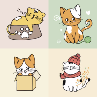 Cat Design icon